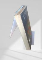 メルトン先生の犯罪学演習