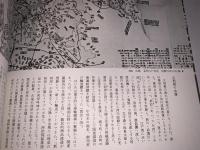 江戸時代図誌9（日光道）