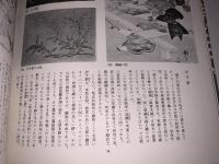 江戸時代図誌21（南海道）