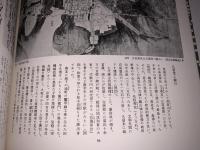 江戸時代図誌22（西海道一）