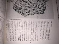 江戸時代図誌23（西海道二）