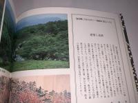 江戸時代図誌 別巻・二（絵年表）