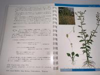 草を知ろう