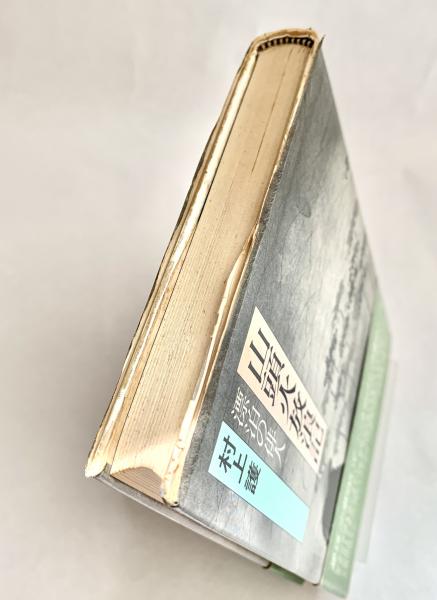 山頭火放浪記 漂泊の俳人(村上護) / 古本、中古本、古書籍の通販