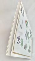 やさしい植物画 ボタニカルアート入門 透明水彩で描く
