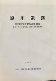 原川遺跡 : 袋井バイパス(掛川地区) 埋蔵文化財発掘調査 昭和60年度発掘調査概報