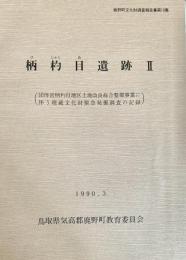 柄杓目遺跡Ⅱ 鹿野町文化財調査報告書10集