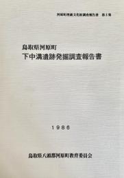 下中溝遺跡発掘調査報告書 ＜河原町埋蔵文化財調査報告書＞