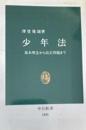 少年法 基本理念から改正問題まで (中公新書)