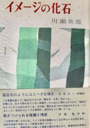 イメージの化石　（新装七版）
