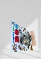 小学館の図鑑 NEO 動物 コアラ・カンガルー
