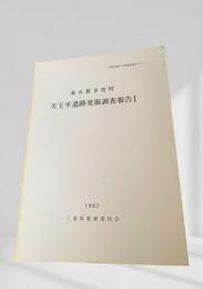 天王平遺跡発掘調査報告 I