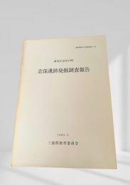 志保遺跡発掘調査報告
