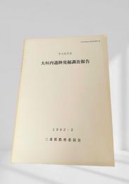 大垣内遺跡発掘調査報告