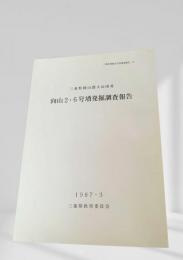 向山2・6号墳発掘調査報告