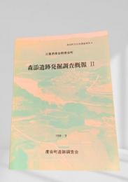 森添遺跡発掘調査概報 II