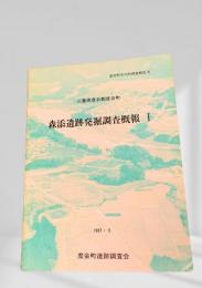 森添遺跡発掘調査概報 I