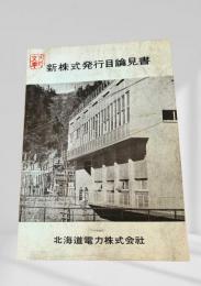 新株式発行目論見書