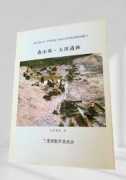 一般国道23号 中勢道路 埋蔵文化財発掘調査概報Ⅰ 森山東・太田遺跡