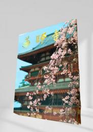 薬師寺 絵葉書