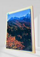 大山縦走 絵葉書