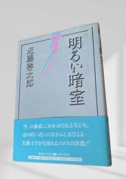明るい暗室