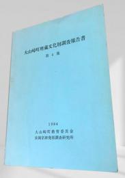 大山崎町埋蔵文化財調査報告書 第4集