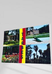 フランス　絵葉書 TARBES　フランス・タルブ 植物園と博物館 写真付 直筆メッセージあり