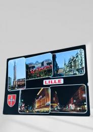 フランス　絵葉書 LILLE　フランス・リールの街並みと夜景 多景印刷 直筆メッセージあり