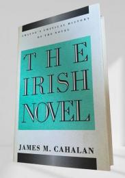 The Irish Novel（『アイルランド小説の系譜』）