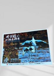 丹頂鶴と釧路大湿原（北海道百年）