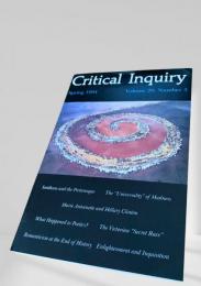 Critical Inquiry Vol.20 No.3　クリティカル・インクワイアリ 1995春