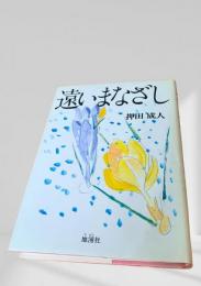 遠いまなざし