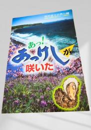 あっ！あっけしが咲いた