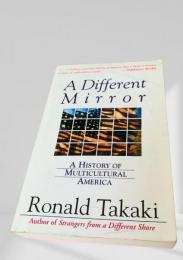 A Different Mirror（異なる鏡）
