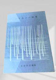 シラカンバ林考