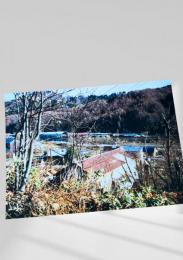 1986年4月28日 木立越しに望む町並み写真