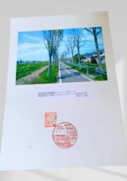 雄別鉄道敷跡サイクリングロード 昭和南4丁目西サイクリングロード交差点付近 ②