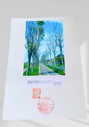 雄別鉄道敷跡サイクリングロード 昭和南4丁目西サイクリングロード交差点付近 ①