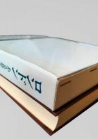 ロンドン ある都市の伝記