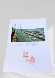太平洋石炭販売知人駅踏切南側のポイント 2018.6.26
