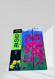 山の花