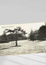 北海道帝国大学附属植物園 絵葉書