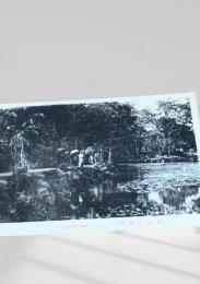 大沼公園（湖畔散策）絵葉書