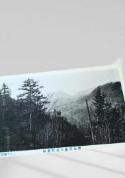 樺太 豊真山熊笹峠全景（絵葉書）