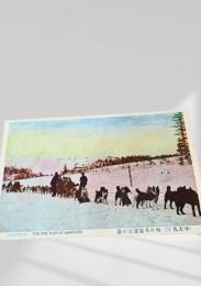 樺太 雪中橇犬逓送景（土風）（絵葉書）