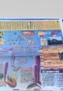 北海道新聞 世界と図解 2003年10月27日号 カンブリア紀