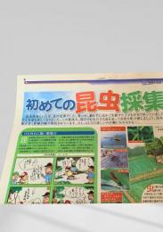北海道新聞 世界と図解シリーズ 大図解  初めての昆虫採集  2004.7.26