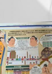 北海道新聞 世界と図解シリーズ 大図解 力士事情  2003.7.14
