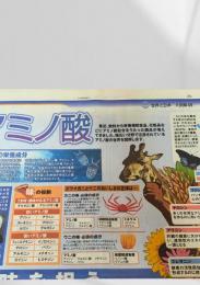 北海道新聞 世界と図解シリーズ 大図解49 アミノ酸  2004.6.28